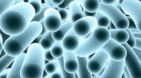Bleach As A Bactericidal Sterilant What You Need To Know About Cleaning with Bleach