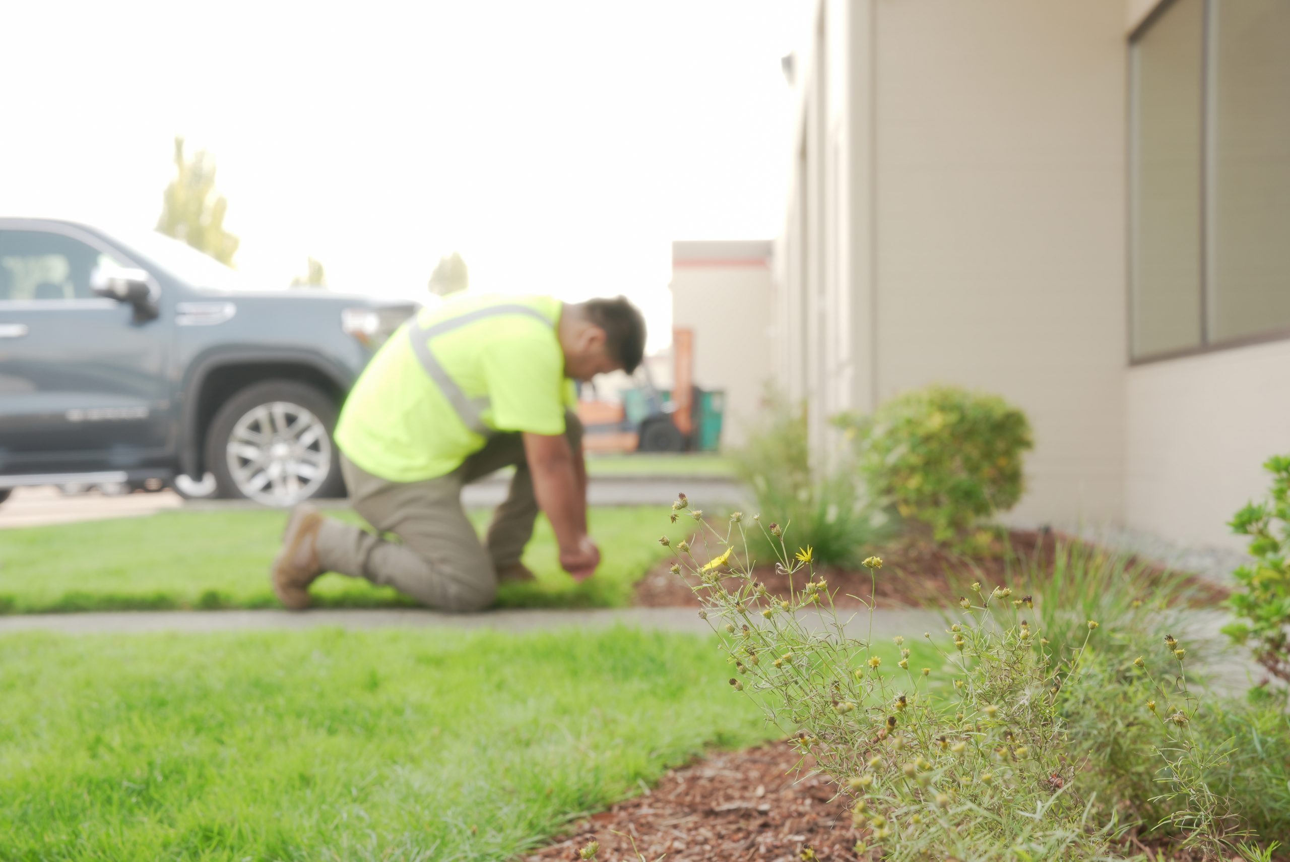 Landscaping Exterior Cleaning Services
