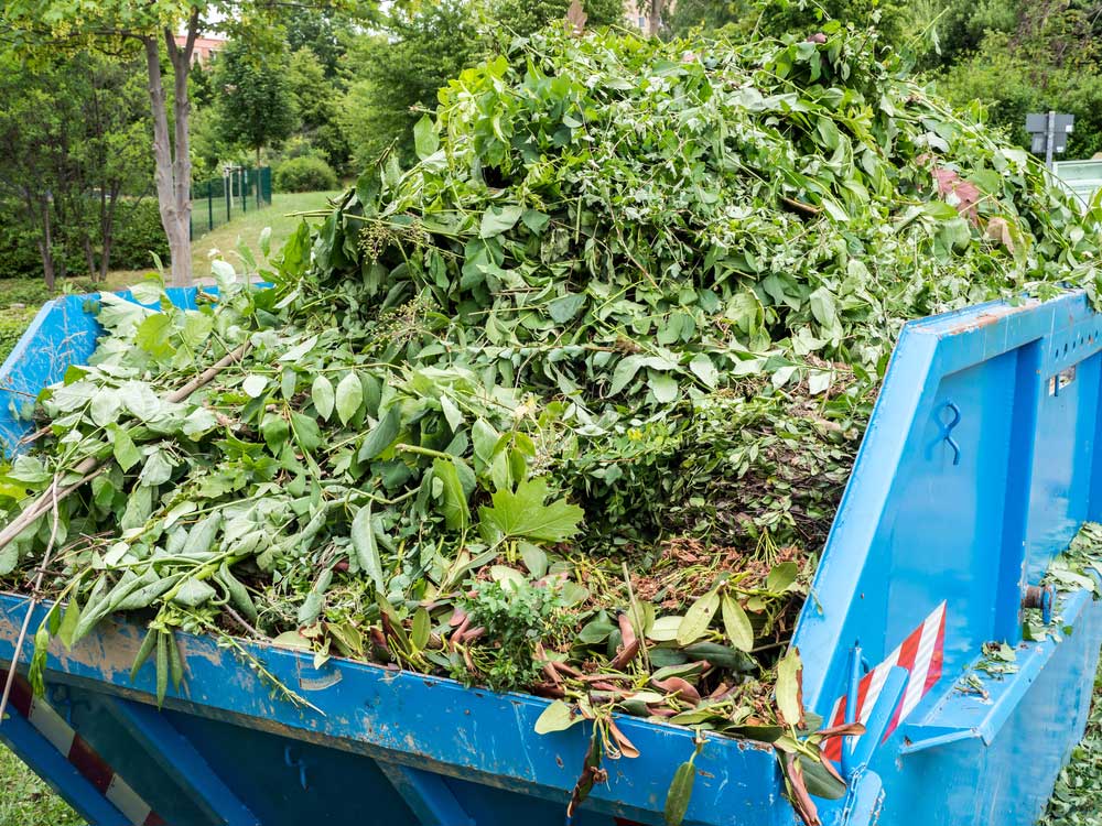 yard cleanup and junk removal